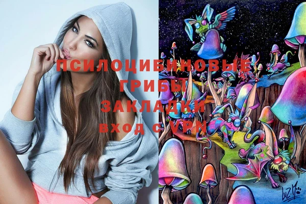 MDMA Верхний Тагил