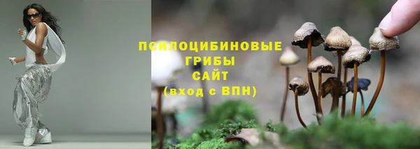 MDMA Верхний Тагил