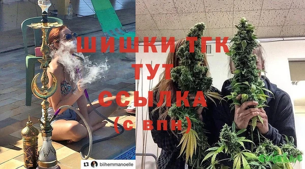 мдпв Верея