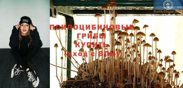 мдпв Верея